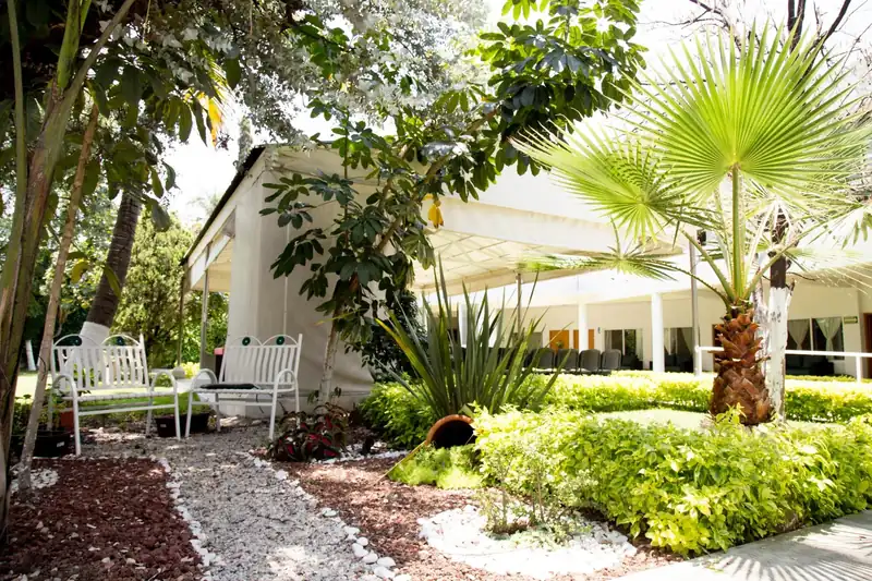 Jardín con palmeras y bancas junto a la terraza de la residencia para adultos mayores Oasis Cuernavaca